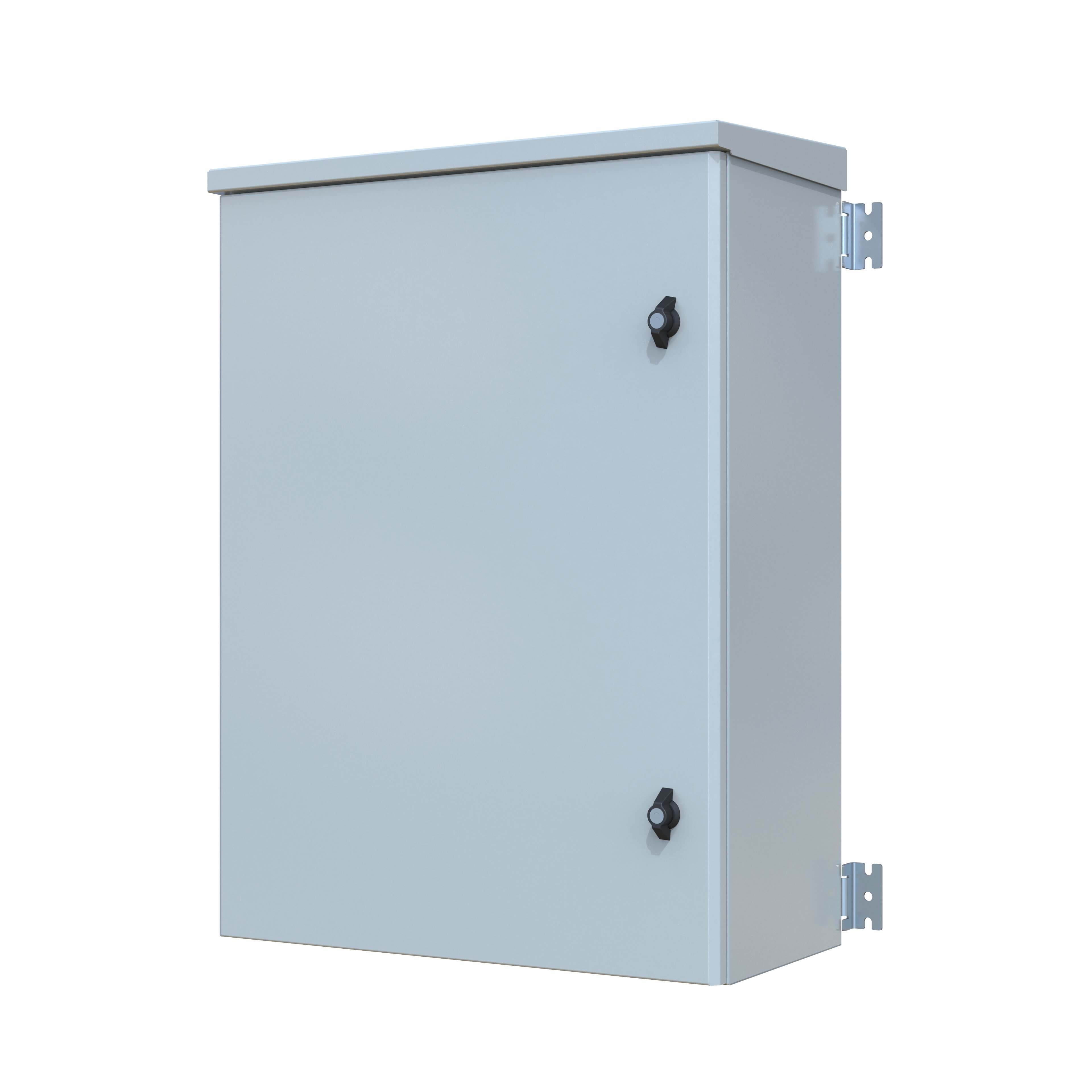 Dulap mural IP66W (L=600, I=800, A=300) cu placa de montaj, RAL 7035 (cu acoperis de protectie)